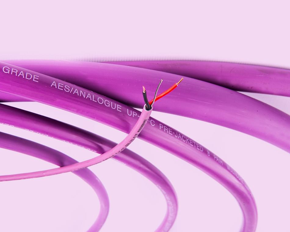 Van Damme Purple Series